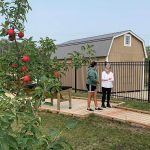 Corrine Clyne speaks with an Elder on a boardwalk. A tree with fresh fruit is seen in the foreground.