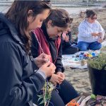 A group of Indigenous women work with medicinal plants on a beach in New Zealand.