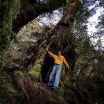 Jordan Braun - Nursing Student mobility experience in New Zealand - Large Trees