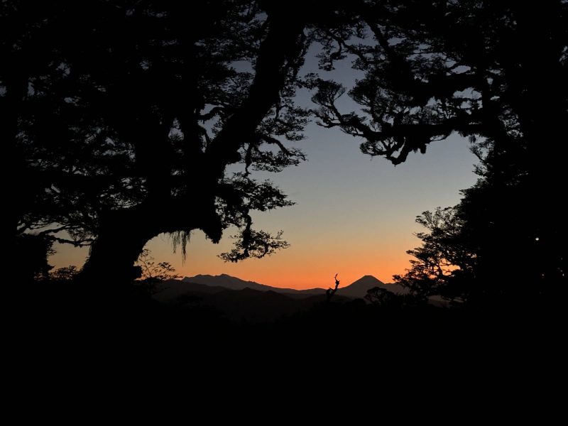 Jordan Braun - Nursing Student mobility experience in New Zealand - Sun Set