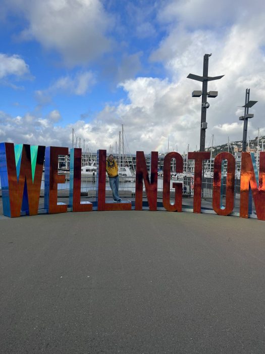Jordan Braun - Nursing Student mobility experience in New Zealand - Wellington Sign