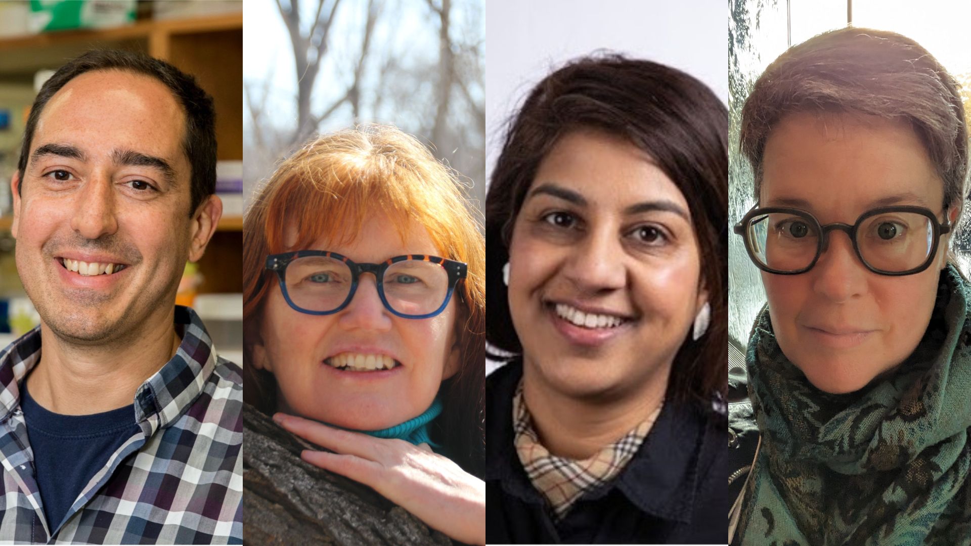 Our four new fellows from L-R: Gerd Prehna, Shirley Thompson, Punam Mehta and Patty Thille