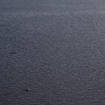 Time lapse photo of the first documented sighting of two bowhead whales in the Churchill River Estuary. Taken on July 17, 2020. Photo supplied by Emma Ausen and Veronica Coppolaro.