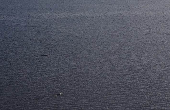 Time lapse photo of the first documented sighting of two bowhead whales in the Churchill River Estuary. Taken on July 17, 2020. Photo supplied by Emma Ausen and Veronica Coppolaro.