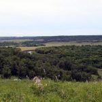 Rolling agricultural fields.