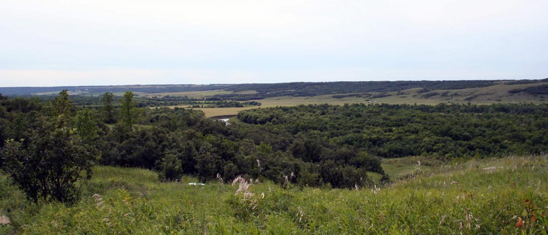 Rolling agricultural fields.
