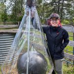 Researcher with fly trap