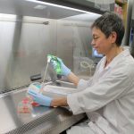 Dr. Sabine Hombach-Klonisch is seated in a lab. She is wearing a lab coat and gloves. She holds a container in one hand and a scientific tool in the other, and is behind a protective shield.