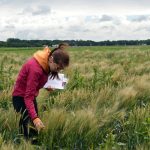 A tech investigates weeds in a field