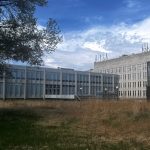 Native prairie grasses in the Russel Building greenspace