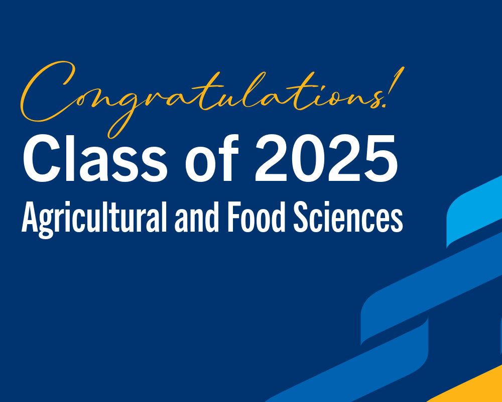 Congrats Class of 2025 graphic