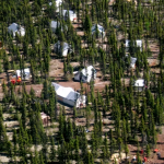overhead photo of trees and structures