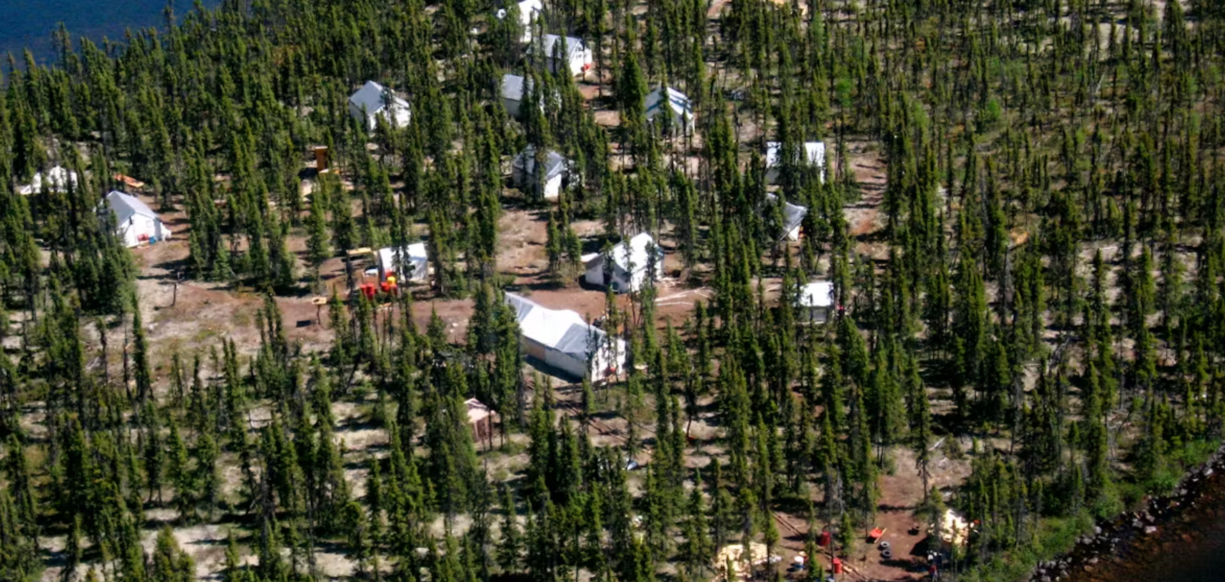 overhead photo of trees and structures