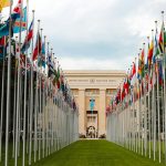 Flags of the 193 member nations at the United Nations Office, Geneva, Switzerland. Photo by Mathias Reding via Pexels