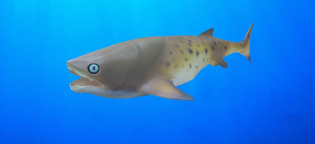 A modeled reconstruction of Elmosteus, a new fossil fish from Manitoba.
