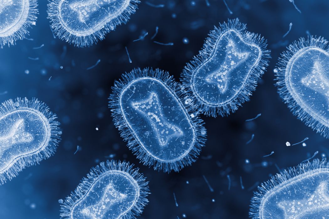 Illustration of mpox virus.