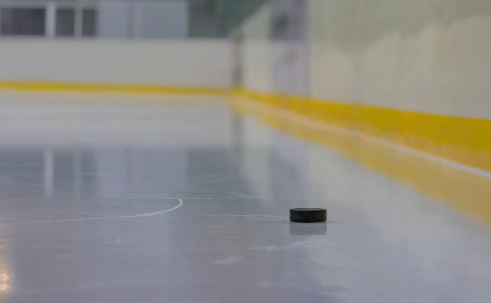 hockey rink and puck