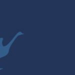 blue image with a light blue goose taking off for flight