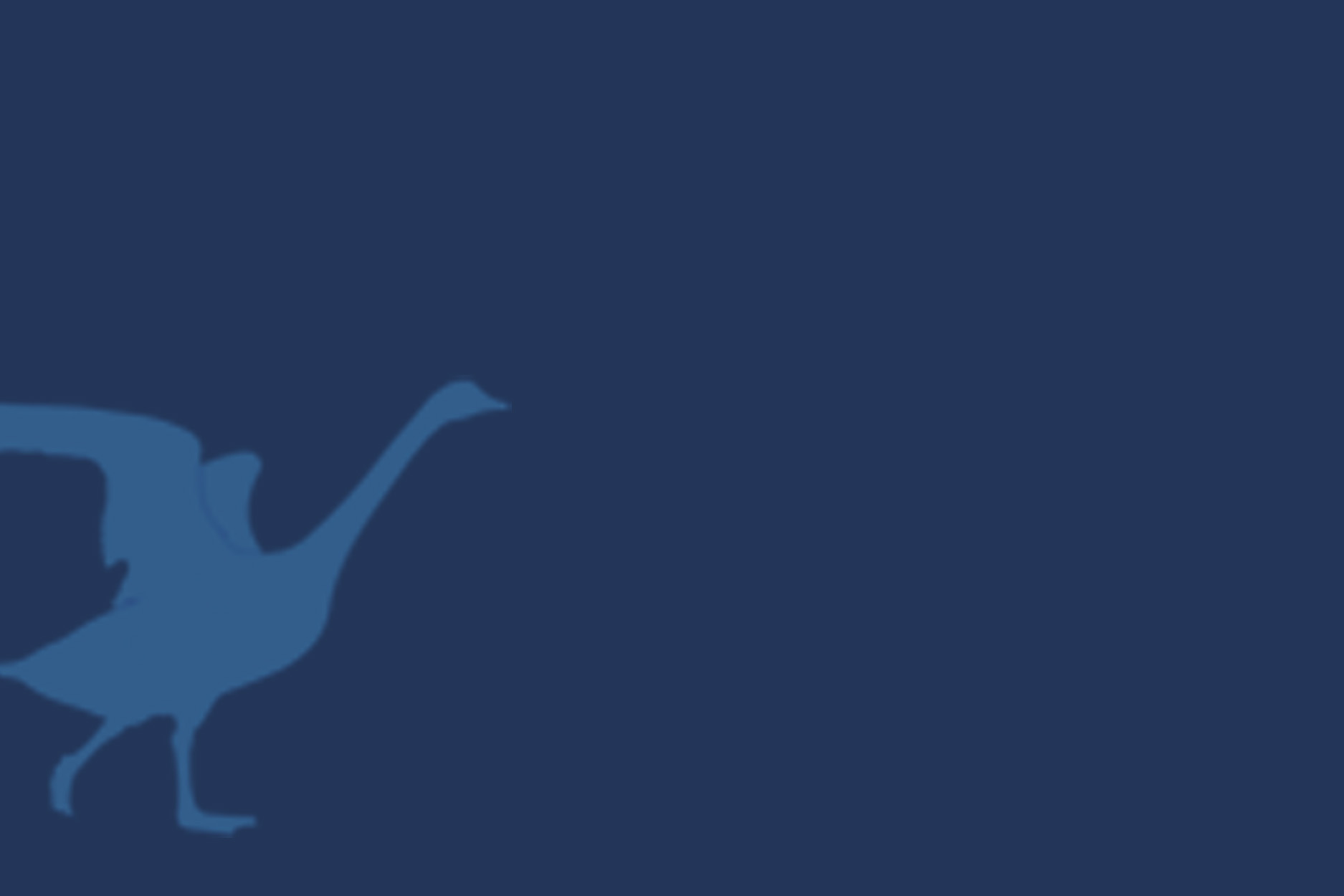 blue image with a light blue goose taking off for flight