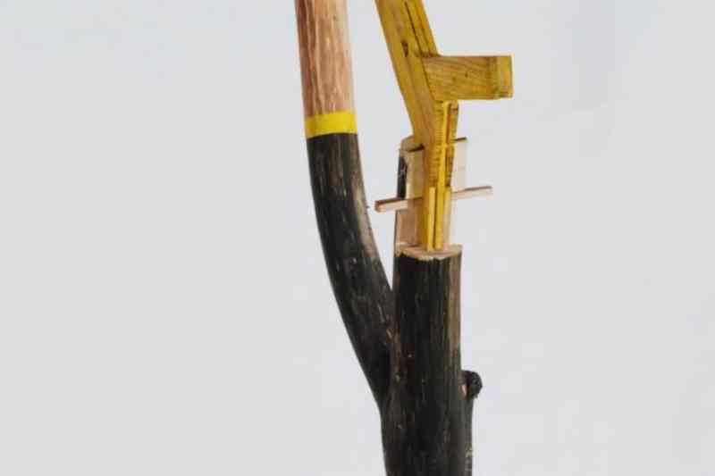 AR_2025-2026_studiodescriptions_bailey_6