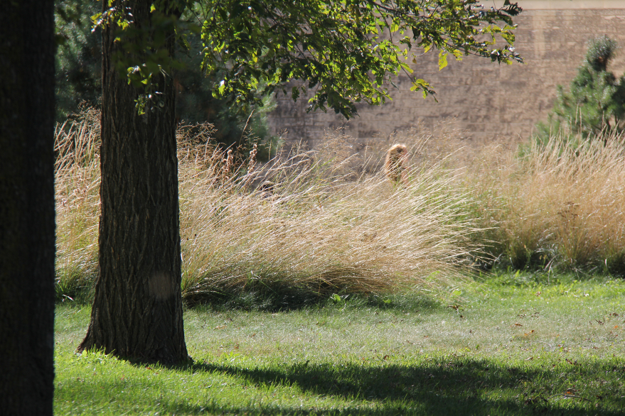 Image-10_Fall-Term-is-On Image-10_Fall-Term-is-On