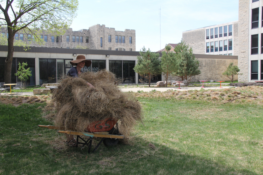 Image-2_Spring-Cleaning Image-2_Spring-Cleaning